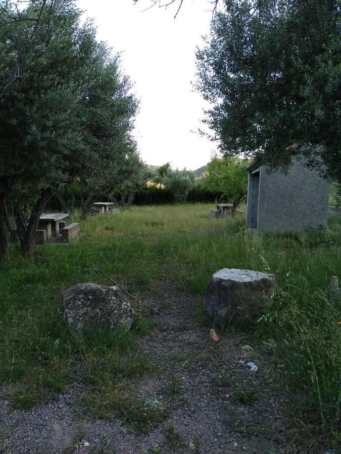 Casa De Amparo Y Jose Manuel Pensionat Pavies Eksteriør billede