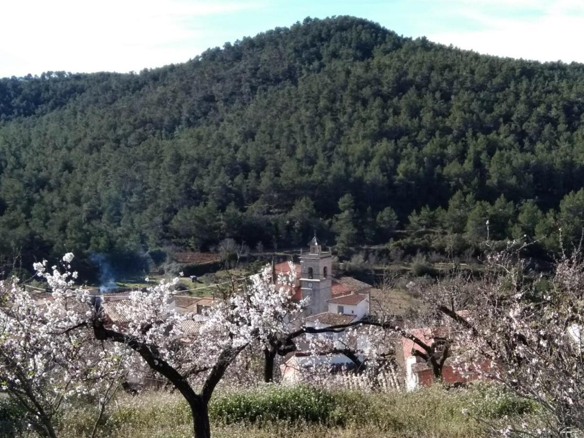 Casa De Amparo Y Jose Manuel Pensionat Pavies Eksteriør billede