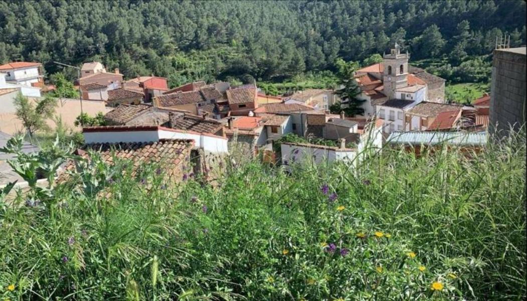 Casa De Amparo Y Jose Manuel Pensionat Pavies Eksteriør billede